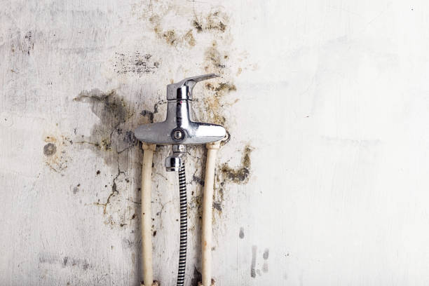 Best Mold Testing and Removal  in Krugerville, TX