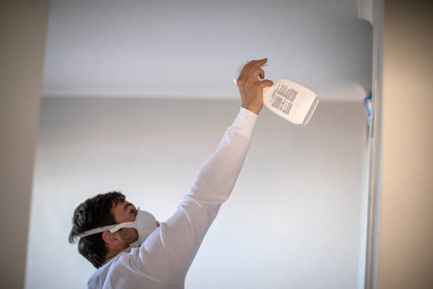 Best Toxic Mold Removal  in Krugerville, TX