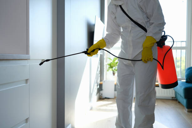 Mold Testing and Removal in Krugerville, TX