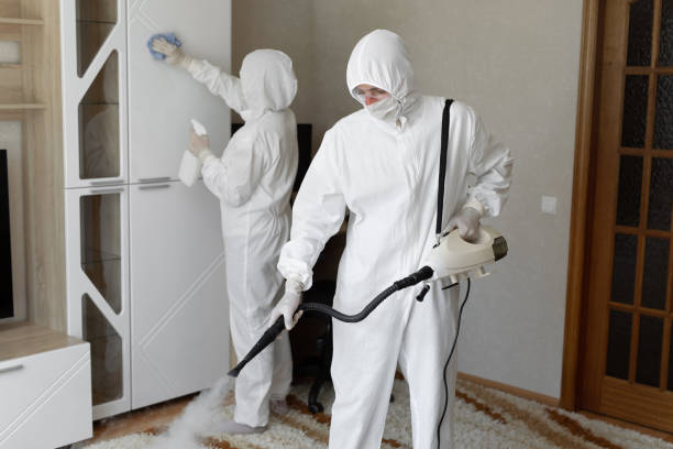 Crawl Space Mold Removal in Krugerville, TX