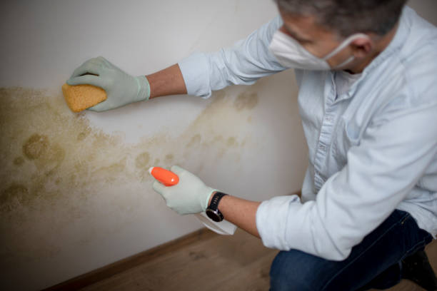 Best Water Damage Restoration  in Krugerville, TX